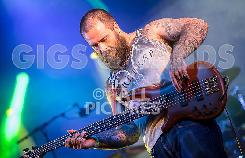 Static Alice-576 - STATIC ALICE