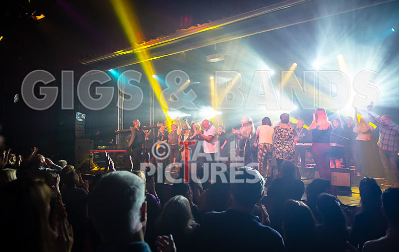 Harry Dean Junior and the New Breed-31 - HARRY DEAN JUNIOR AND THE NEW BREED