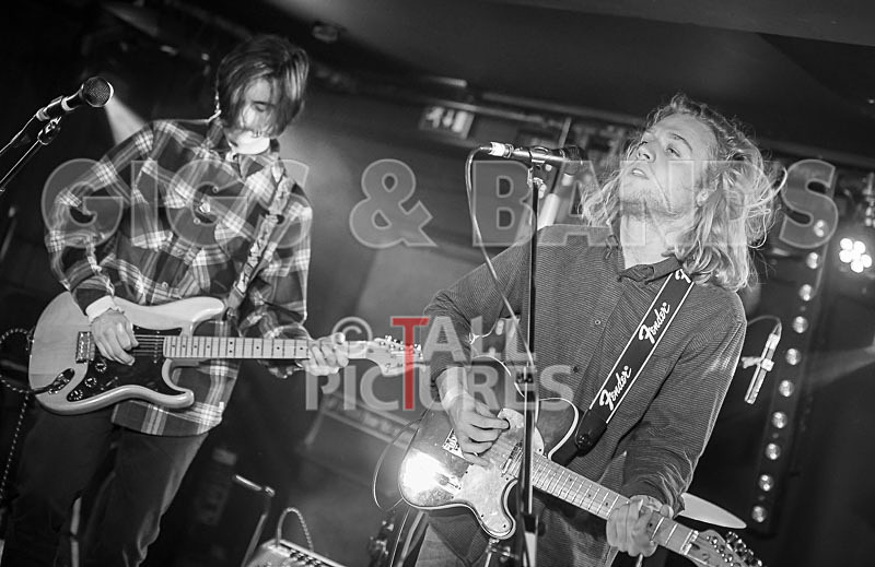 Tadhg Daly-72 - TADHG DALY