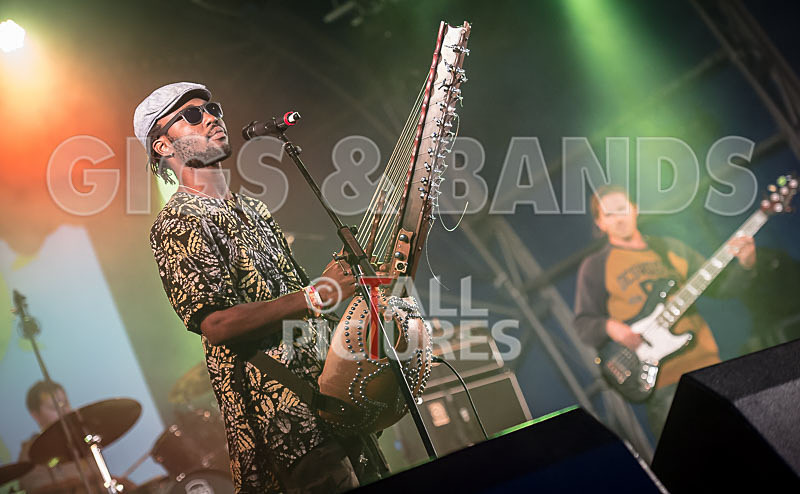 Joe Driscoll  Sekou Kouyate-6 - JOE DRISCOLL & SEKOU KOUYATE