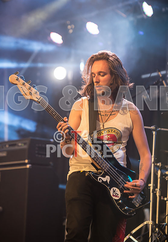 Rat Salad-14 - RAT SALAD