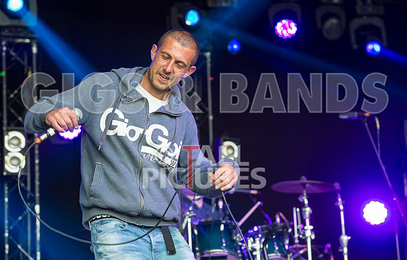 Buffalo Huddleston-393 - BUFFALO HUDDLESTON