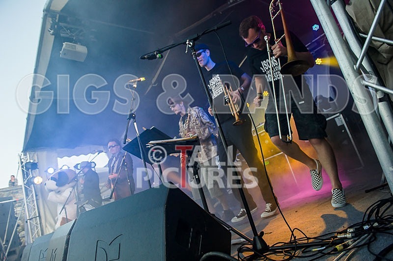 Sons of the Desert-231 - SONS OF THE DESERT