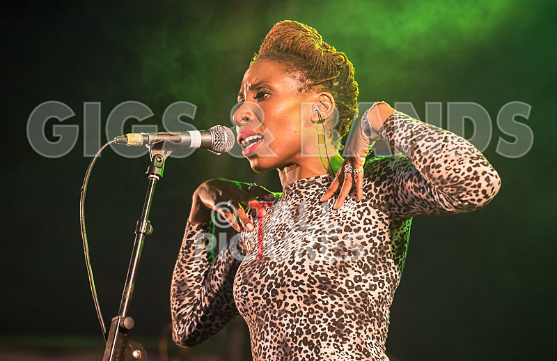 The Delegators-18 - THE DELEGATORS