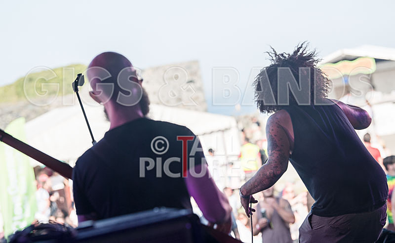 Tree House Fire-26 - TREE HOUSE FIRE