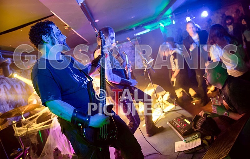 Darker Shores-38 - DARKER SHORES