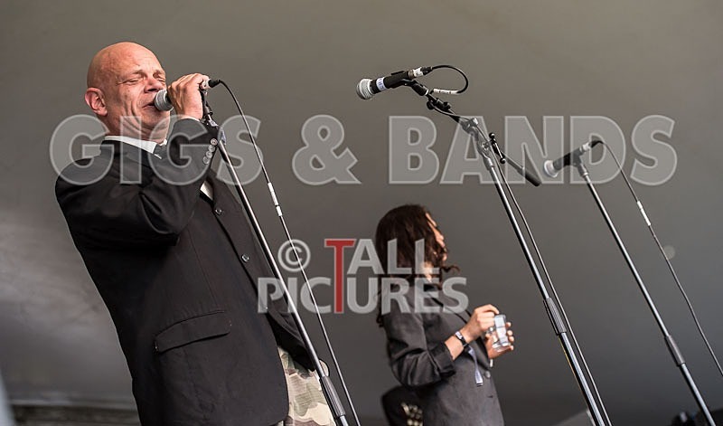 Kitten  The Hip-2 - KITTEN & THE HIP