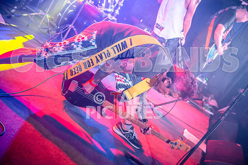 Morllyheads-50 - MORLLYHEADS