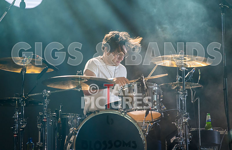 Blossoms-2 - BLOSSOMS