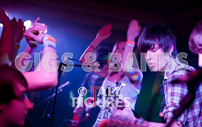 Feedback-87 - FEEDBACK at RoA-8