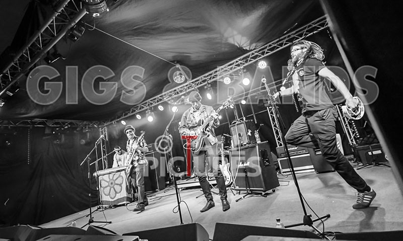 Surfin Birds-65 - SURFIN' BIRDS