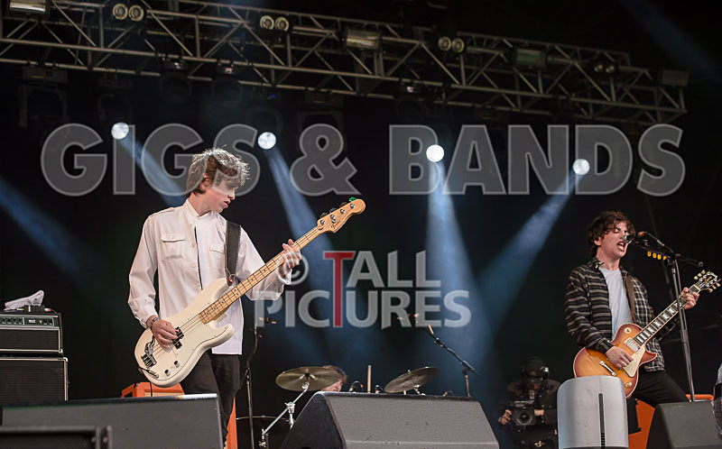 Pretty Vicious-24 - PRETTY VICIOUS