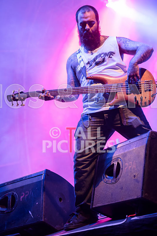 Static Alice-503 - STATIC ALICE