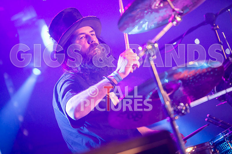 Peppered Ant Legs-197 - PEPPERED ANT LEGS