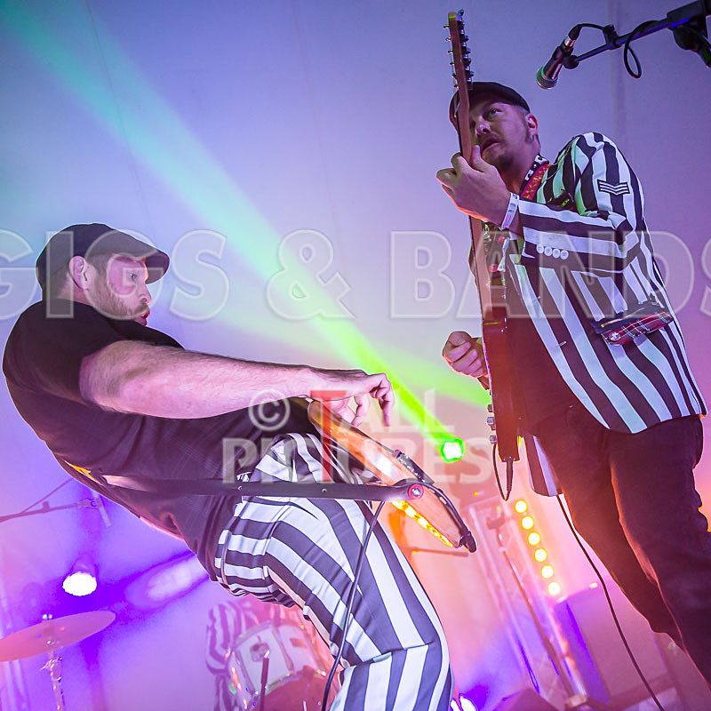 The Smooth Hounds-14 - THE SMOOTH HOUNDS