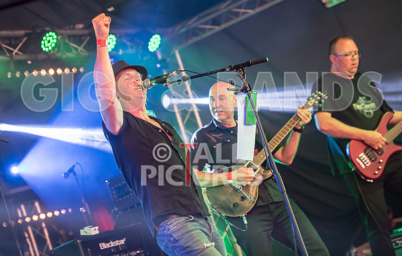 Frail Sincerity-12 - FRAIL SINCERITY