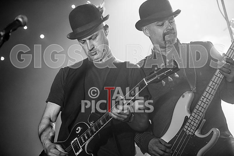 Peppered Ant Legs-171 - PEPPERED ANT LEGS