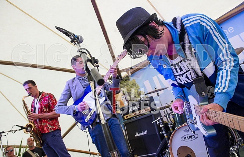 The Gaa Gaas-30 - THE GAA GAA'S