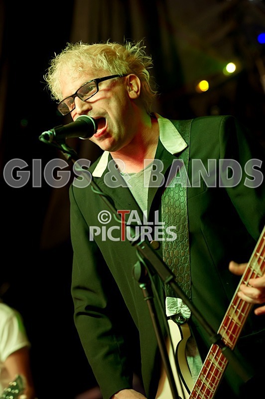 Top Buzzer-1 - TOP BUZZER