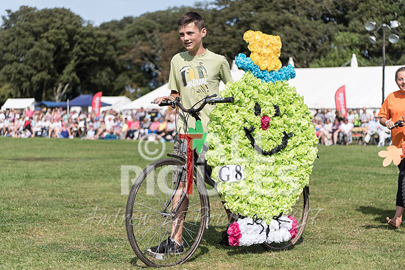 North Show 2017-65 - NORTH SHOW 2017