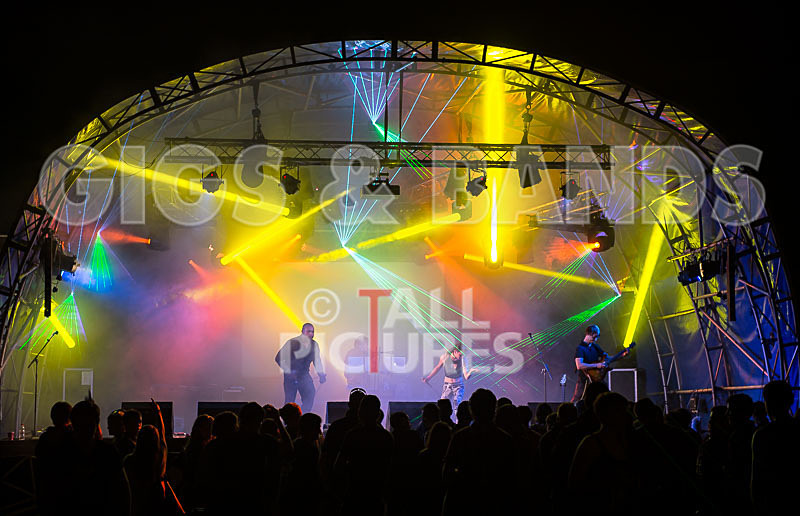 Vale Earth Fair 2015-5 - VALE EARTH FAIR 2015 - THE PRESS EDIT