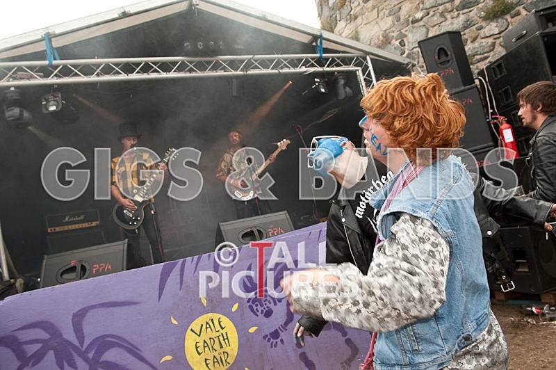 Peppered Ant Legs-41-0001 - VALE EARTH FAIR 2009