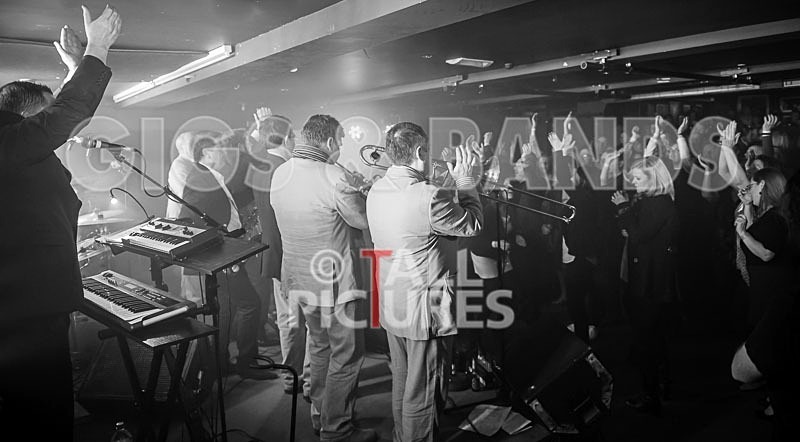 The Pulse-72 - THE PULSE