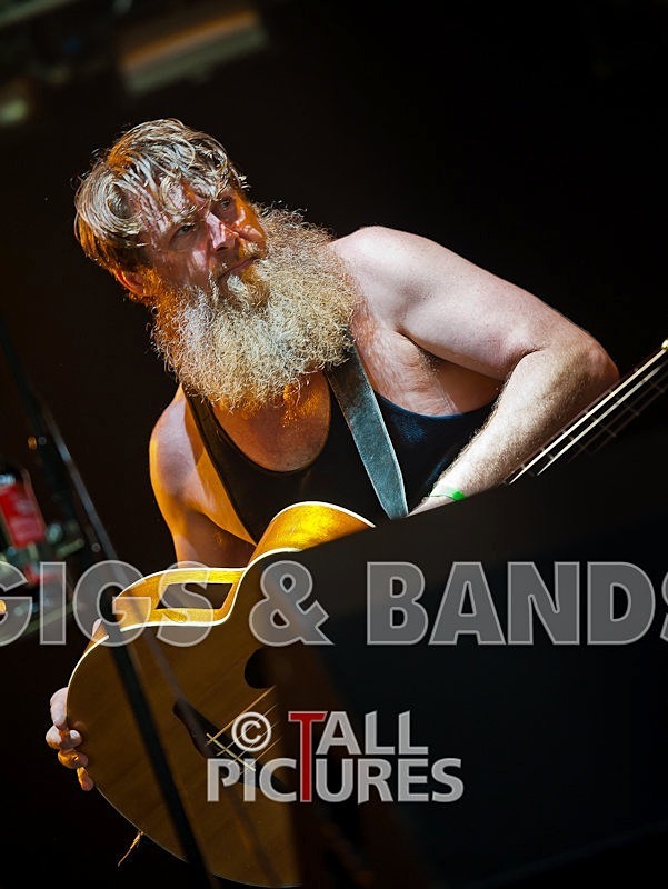 Hayseed Dixie-15 - HAYSEED DIXIE