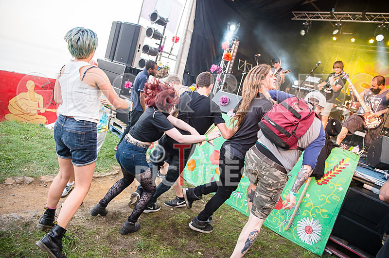 Vale Earth Fair 2017_SCENE-124 - VALE EARTH FAIR 2017_THE SCENE