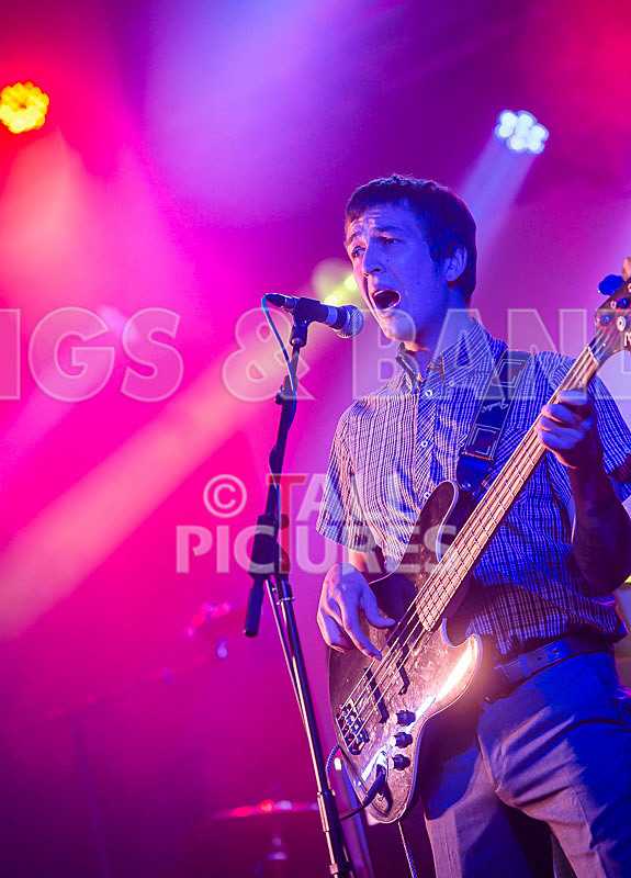 The Delegators-20 - THE DELEGATORS