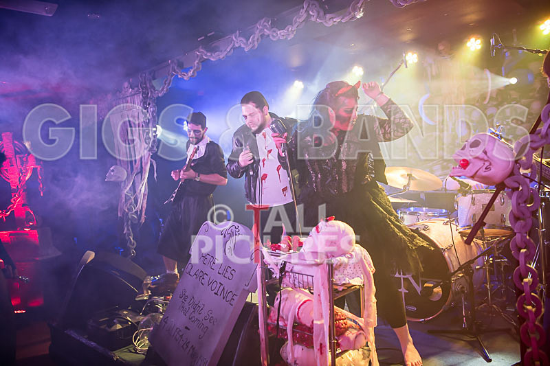 Static Alice-648 - STATIC ALICE