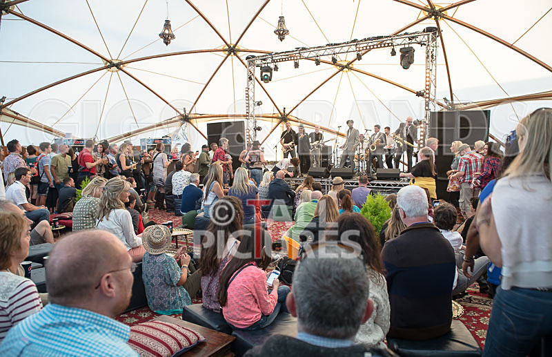 The Selecter-102 - THE SELECTER