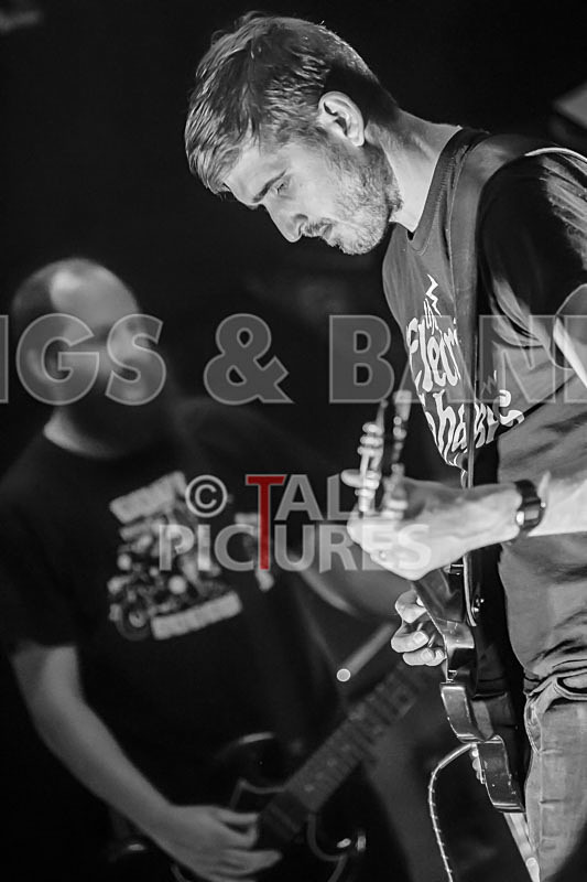 Mechanical Lobster-5 - MECHANICAL LOBSTER