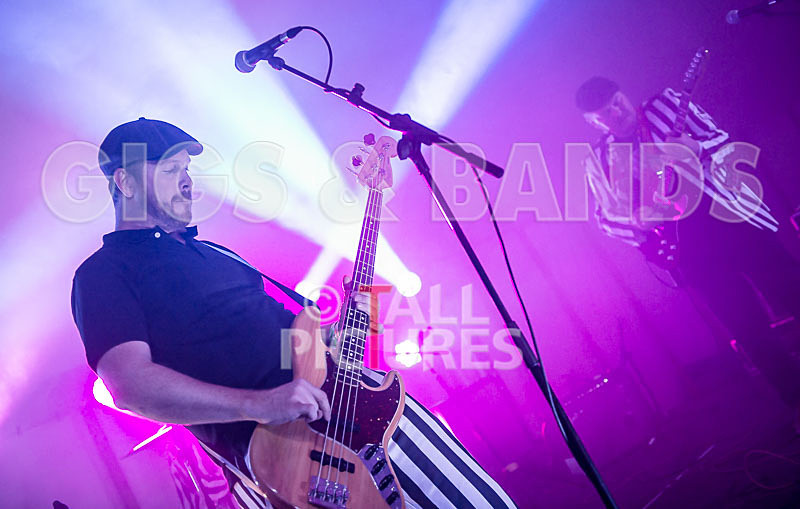 The Smooth Hounds-8 - THE SMOOTH HOUNDS