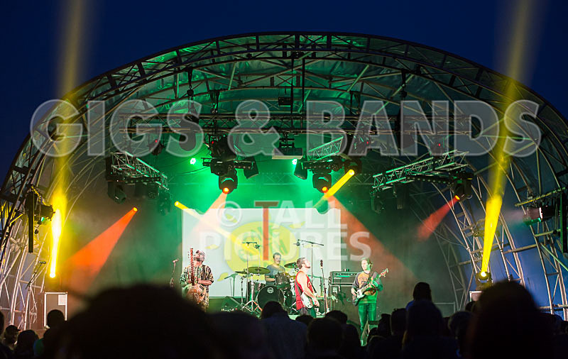 Vale Earth Fair 2015_Atmosphere-45 - VALE EARTH FAIR 2015_THE ATMOSPHERE