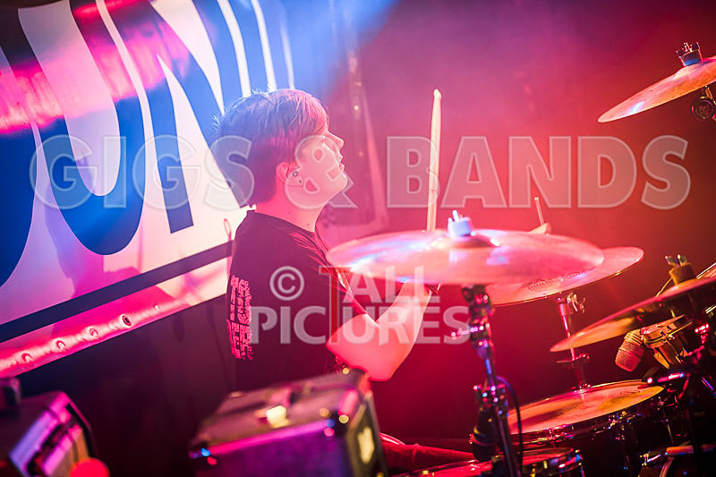 Cosmic Fish-4 - COSMIC FISH