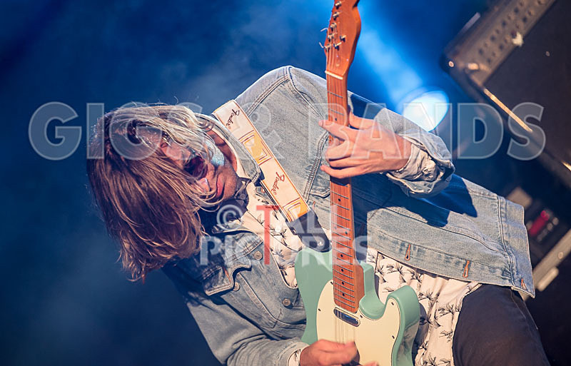 Surfin Birds-32 - SURFIN' BIRDS