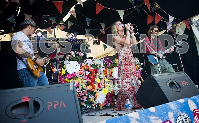 Hippie Picnic-10 - HIPPIE PICNIC