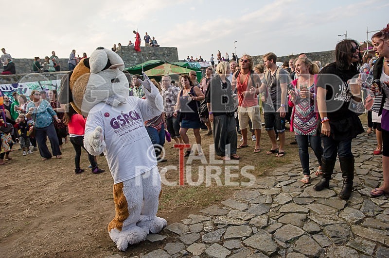 Sons of the Desert-217 - SONS OF THE DESERT