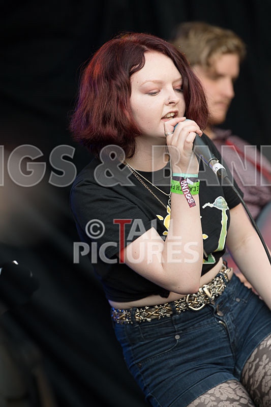 SoPM Vale Earth Fair-16 - SoPM on the VIEWALALU STAGE