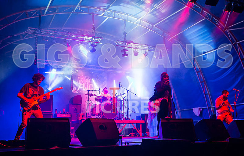 Static Alice-491 - STATIC ALICE