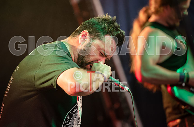 Masticated-9 - MASTICATED