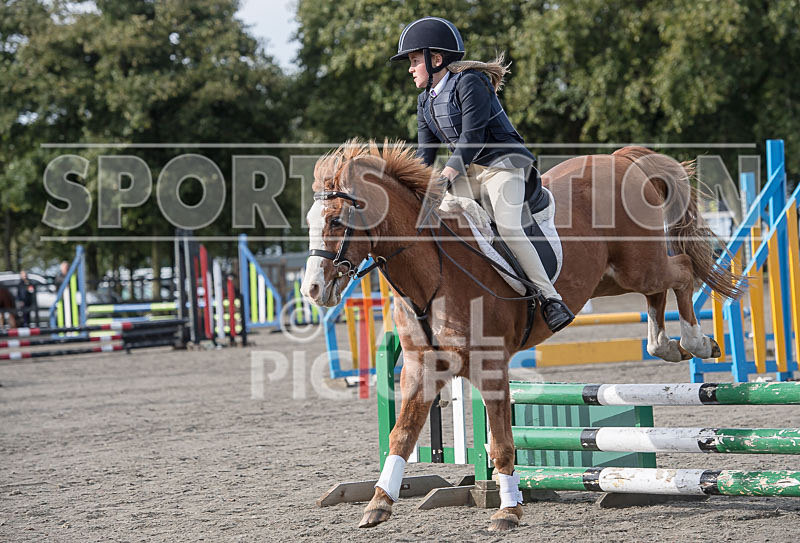 North Showjumping_2016-76 - NORTH SHOW SHOWJUMPING 2016
