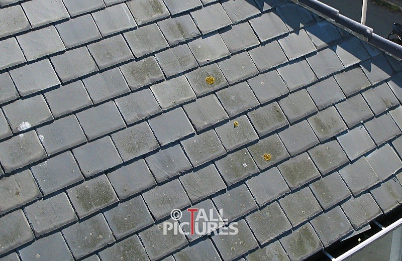 Roof Surveys-5 - SURVEYS