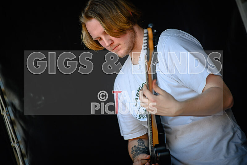 Bloomfield-41 - BLOOMFIELD