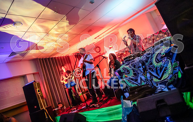 Seigneur Hedge Veg-23 - THE PEACE TENT STAGE