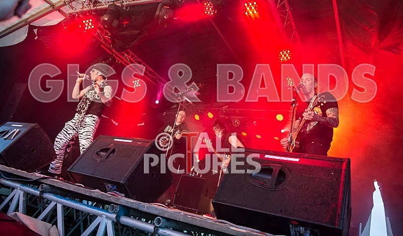 Big Machine_Chaos8-51 - BIG MACHINE