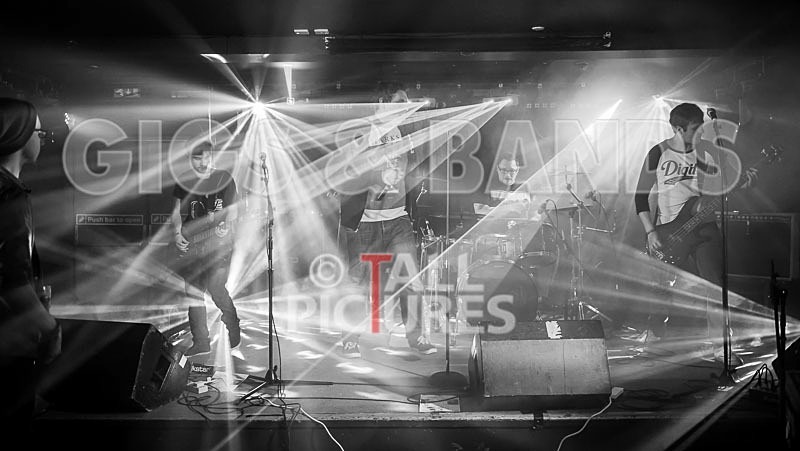 From Bedrooms to Backseats-116 - FROM BEDROOMS TO BACKSEATS