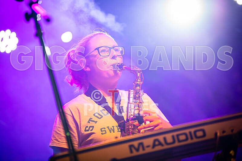 Honest Crooks-238 - HONEST CROOKS