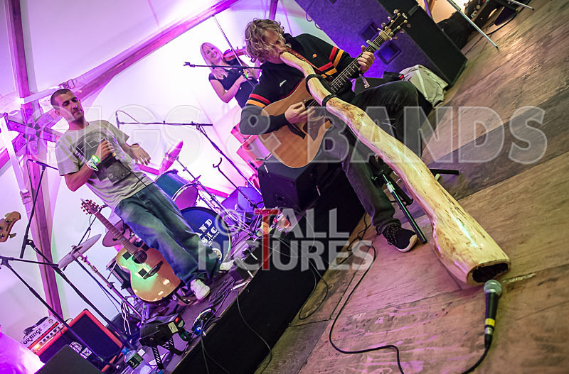 Buffalo Huddleston-240 - BUFFALO HUDDLESTON